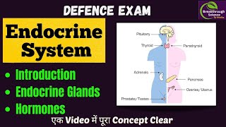 Endocrine System  Endocrine Glands  Class 10 Hormones I CDS I CAPF I NDA EXAM I SCIENCE [upl. by Thaddaus]