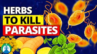 🌱Top 10 Best Herbs for Parasites Natural Detox and Cleanse [upl. by Shulamith]