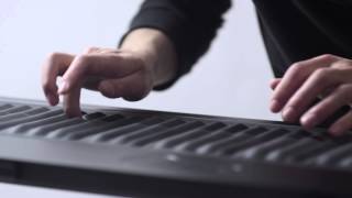 Introducing the Seaboard [upl. by Earised]