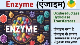 EnzymeएंजाइमEnzyme biochemistryenzyme in hindiOxidoreductaseHydrolasetransferaseKiran maurya [upl. by Casilde]