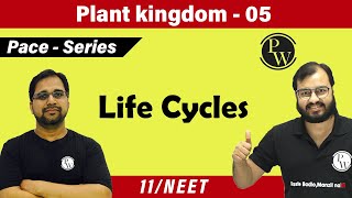 Plant Kingdom 05 l Life Cycles Class 11  NEET  PACE SERIES [upl. by Williamsen]