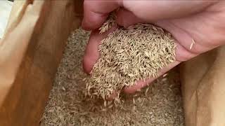 Shipping Grass Seed Across The Country For THIS REASON  Simple Appalachian Homestead [upl. by Atibat]