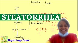 Malabsorption of lipids Steatorrhea  Gastrointestinal system physiology lecture [upl. by Kingsly]