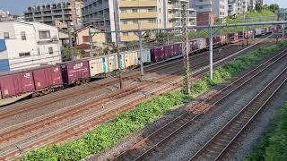 【４K映像】JR貨物 上り JR freight up train [upl. by Zarihs664]