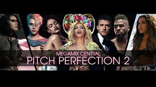 quotPITCH PERFECTION 20quot  30 Songs Mashup by Megamix Central [upl. by Halbert890]