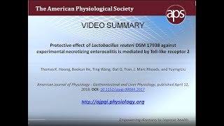 Effect of Lactobacillus reuteri is mediated by TLR2 – Hoang et al 2018 [upl. by Buxton]