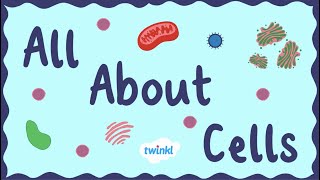 All About Animal Cells for Kids  Middle School Science  Twinkl USA [upl. by Asilat470]