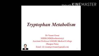 Tryptophan Metabolism  Serotonin and Melatonin Synthesis  Biochemistry [upl. by Calv]