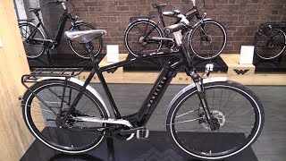 Amazing City Bike  2023 Wanderer ETourer I F360 [upl. by Aramaj]