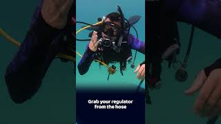 🌊 Scuba Skills 101 Regulator Clearing 🌊 kohtao kohtaodiving [upl. by Baxie]