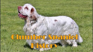 Podcast 162 Clumber Spaniel History  The clown prince and bird dog [upl. by Norean]