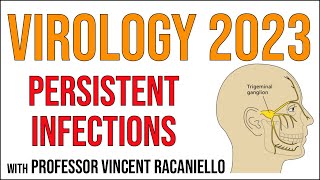 Virology Lectures 2023 17 Persistent infections [upl. by Mannie513]