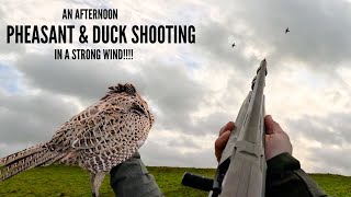 ROUGH SHOOT PHEASANT AND DUCK  WINSCOMBE SHOOT  AN AFTERNOON WITH FRIENDS [upl. by Galloway]