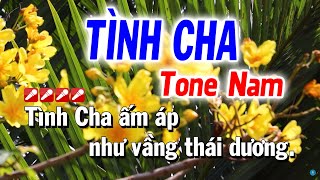 Tình Cha Karaoke Tone Nam Beat Hay  La Thứ  Slow Rock  Tuyết Nhi [upl. by Atinram]