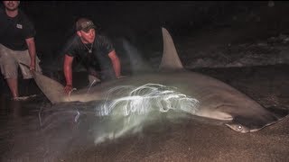 Field amp Streams Hook Shots Season 5 Ep 3 Adventures In Florida Land Sharking [upl. by Noam]