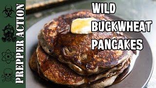 Buckwheat pancakes wild [upl. by Ahsiemaj]