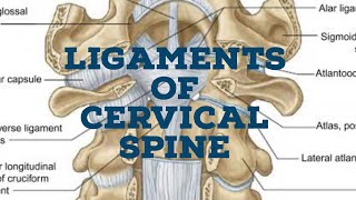 Ligaments of cervical spine [upl. by Chrisse]