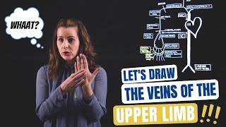 Veins of the Upper Extremity Lightboard [upl. by Llemej]