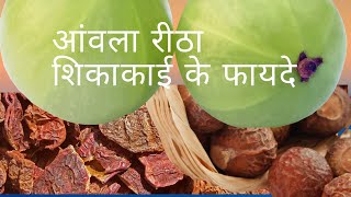 Amla Reetha Sjhikakai Benefits आंवला रीठा शिकाकाई के फायदे [upl. by Eniad]