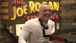 Joe Rogan Experience 2010  Marc Andreessen [upl. by Aletsirc255]