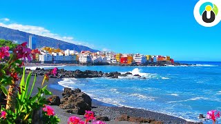 TENERIFFA Urlaub Tipps 🌴 Reisetipps für die wunderschöne Insel Teneriffa  Guru on Tour [upl. by Melba726]