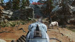 Radstag Location  Fallout 76 Enemy Spawn [upl. by Ellehcim]