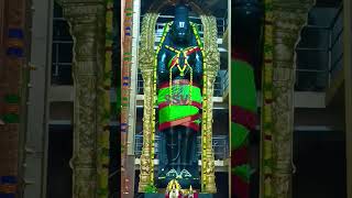 Nanganallur Anjaneyar darshan 🙏 Saturday special Alankaram Aarti youtubeshorts anjaneya [upl. by Adnoma164]