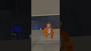 I got banned in Gorilla Tag heres why gorillatagquest gtag vr gorillatag quest3 igotbanned [upl. by Salesin]