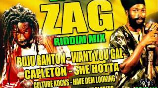 DJ SCA ZIG RIDDIM MIX ed by DJ SCA 2011  Hot Jamaica Riddim Mix by Dj SCA [upl. by Haldi]