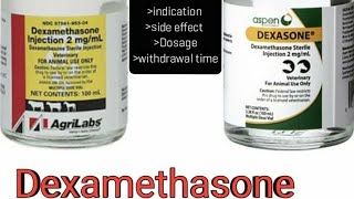 Dexamethasone inj  Introduction indication side effects Dosage [upl. by Plerre]