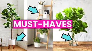 The MUSTHAVE IKEA Products for your Fiddle Leaf Fig [upl. by Elyn]