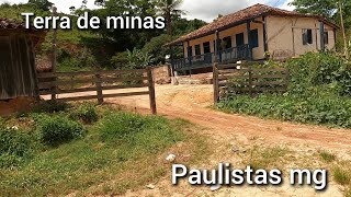 CONHEÇA MINAS  ZONA RURAL DE PAULISTAS  LUGARES DE FAZENDAS E SÍTIOS E SILAGENS PARA O GADOAGRO [upl. by Relyk]