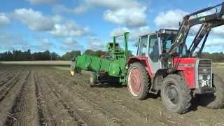 Potato harvest 2015 With the MF 690 and a Wuhlmaus 1033 potato harvesters Sept 2015th [upl. by Ametaf178]