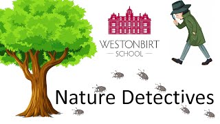 Woodlice Classification  Nature Detectives [upl. by Niledam]