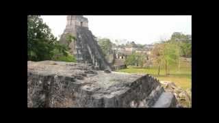 Sounds of the Jungle in Tikal Guatemala [upl. by Kurtzig]