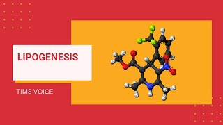 Lipogenesis Biochemistry lecture 1Module 202 [upl. by Etteiluj]