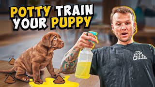 Puppy Training  How To Potty Train A PUPPY In 5 Minutes [upl. by Ednihek810]