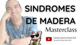 SÍNDROMES DE LA MADERA una masterclass  Acupuntura para párvulos [upl. by Onitnelav573]