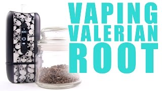 Vaping Valerian Root in Your Ascent Vaporizer  You Can Vape What [upl. by Baptist]