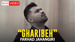 Farhad Jahangiri  Ghariba  OFFICIAL MUSIC VIDEO فرهاد جهانگیری  غریبه [upl. by Annaeel]