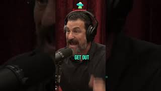 The Science of Smell How Odors Influence Our Behavior jre joerogan [upl. by Nesnaj]