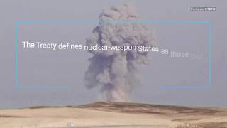 What is the Treaty on the NonProliferation of Nuclear Weapons [upl. by Patsis596]