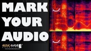 Audio Watermarking in Adobe Audition Watermark Your Audio [upl. by Nnylyak768]