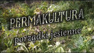 Permakultura  jesienne porządki [upl. by Goldstein889]