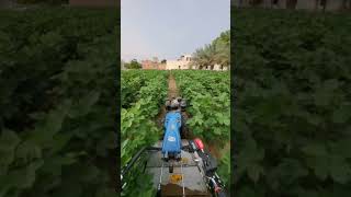 BCS power widder made in Italy farming farmer trending jaat prernaorganicfarms [upl. by Aschim]