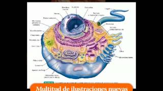 THIBODEAU Estructura y función del cuerpo humano 14ª ed [upl. by Dnalloh]