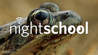 NightSchool Special Topics in Frog Science [upl. by Elset357]