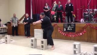 Brickbreaking demo  MEAN CHA3 Kenpo Christmas party Hawai [upl. by Wistrup336]