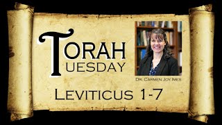 Torah Tuesday  Leviticus 17 [upl. by Mountford]