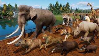 Ancient Animals VS Modern Animals Race in Planet Zoo included Mammoth Smilodon Cheetah amp Tiger [upl. by Cut]